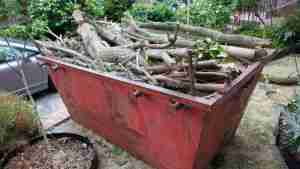 Garden Clearouts Glenealy