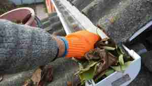 Gutter Cleaning Arklow